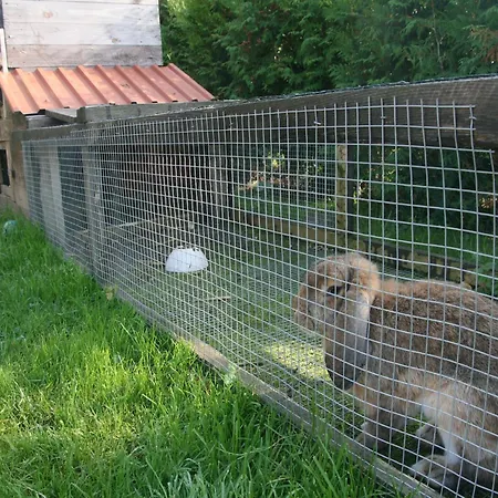 Schoenes In Bastorf Am