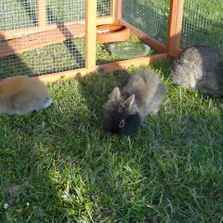 בית נופש Schoenes In Bastorf Am