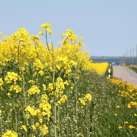 Schoenes In Bastorf Am *